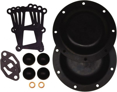Diaphragm Pump Fluid Section Repair Kit: Buna-N, Includes Check Balls, Diaphragms & Gasket, Use with