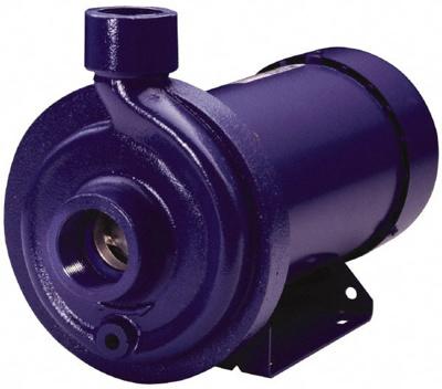 AC Straight Pump: 115/230V, 15.2/7.6A, 1 hp, 1 Phase, Cast Iron Housing, 316L Stainless Steel Impell
